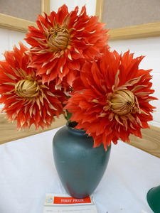 2017 dahlias