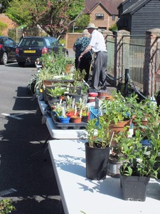 2022 plant sale