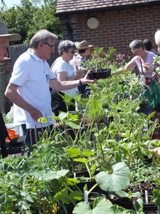 2022 plant sale