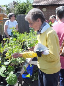 2022 plant sale