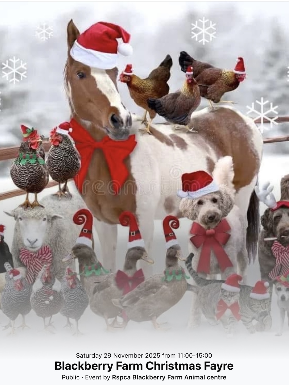 Blackberry Farm Christmas Fayre 2025